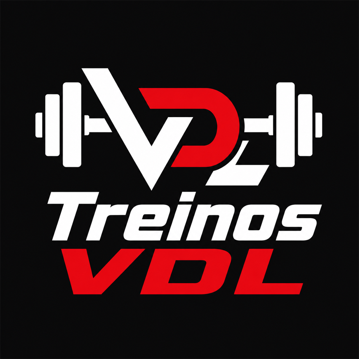Treinos VDL
